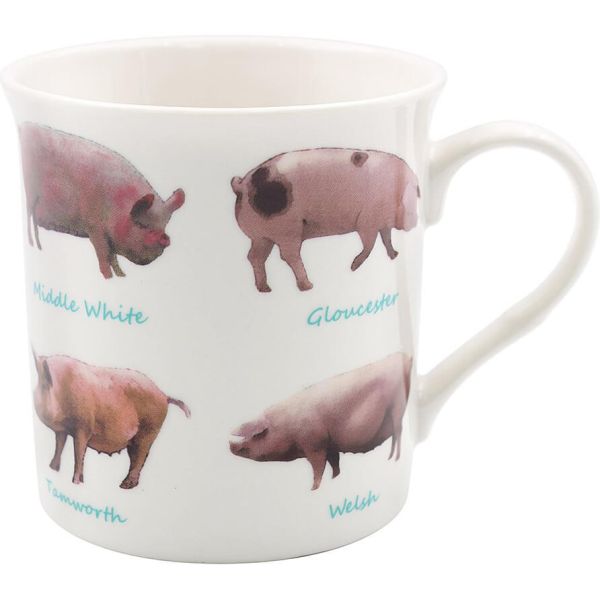 Becher Pigs - Schweine